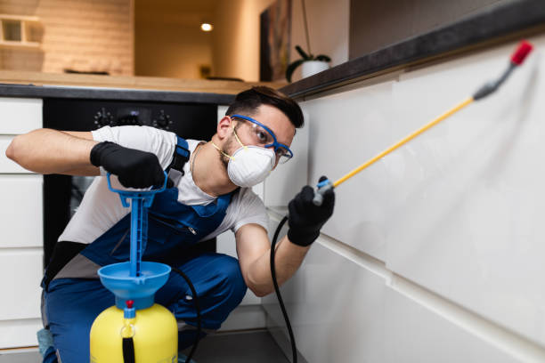 Best Best Pest Control Companies  in Fort Mckinley, OH