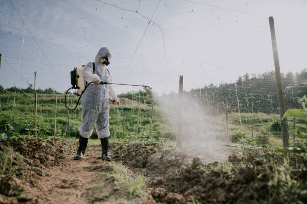 Best Pest Prevention Services  in Fort Mckinley, OH
