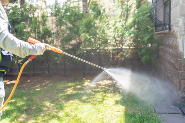 Best Wasp Removal Services  in Fort Mckinley, OH