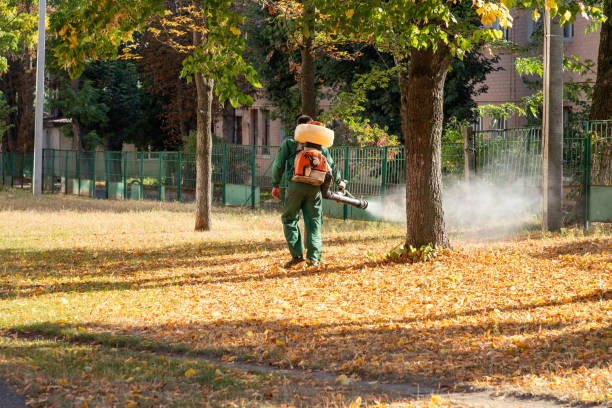 Best Rat Extermination Near Me  in Fort Mckinley, OH