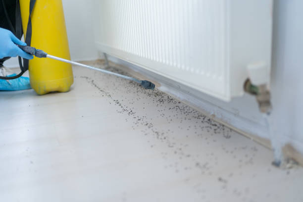 Best Cockroach Control Services  in Fort Mckinley, OH