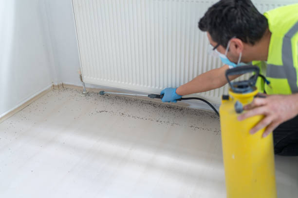 Best Mosquito Control Services  in Fort Mckinley, OH