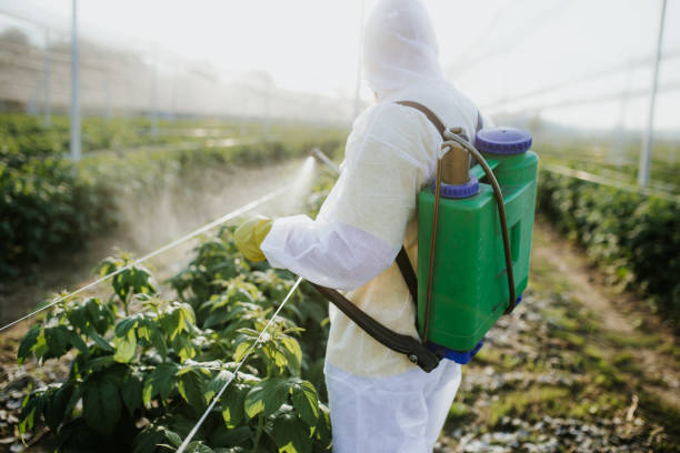 Pest Prevention Services in Fort Mckinley, OH